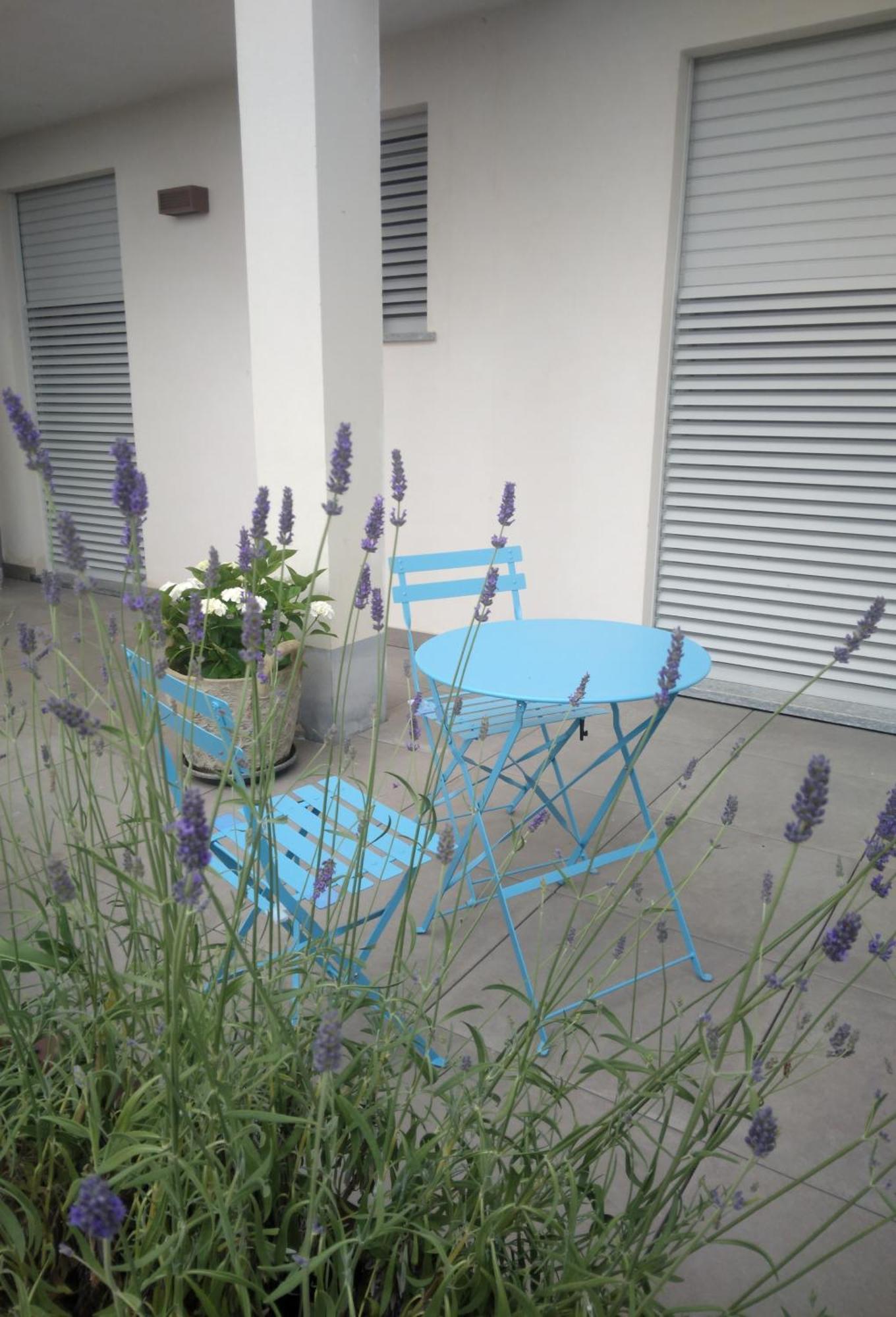 Cicci House Apartment Alba  Exterior photo